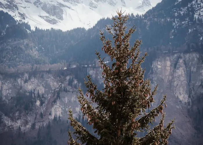 Hidden Retreats The Signature דירה