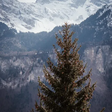 Hidden Retreats The Signature Apartament