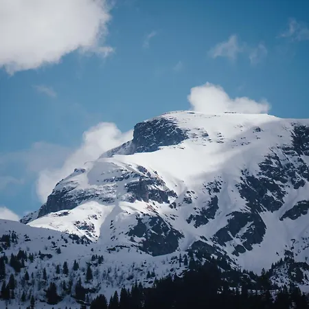 Apartament Hidden Retreats The Signature